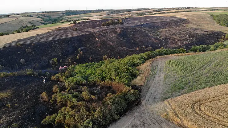 30 dönümlük buğday tarlası küle döndü