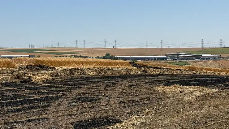 340 dekar buğday ekili alan alev aldı