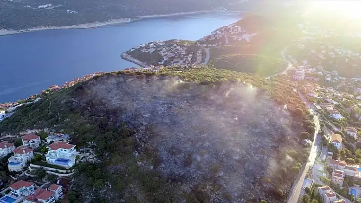 Antalya'daki orman yangınından geriye kalanlar yürekleri burktu