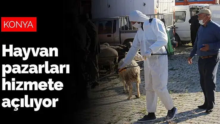 Konya'da hayvan pazarları hizmete açılıyor
