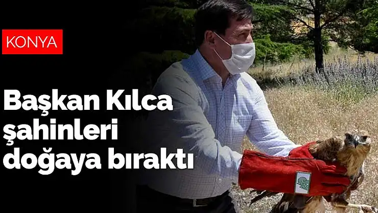 Konya'da tedavileri tamamlanan şahinleri Başkan Kılca doğaya bıraktı