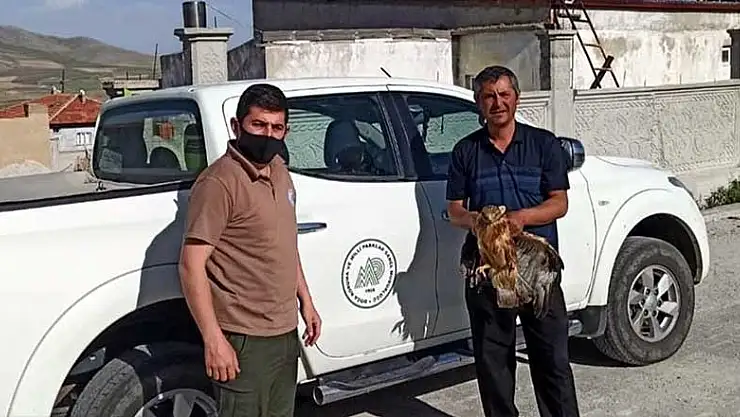 Konya'da yaralı bulunan baykuş ve şahin korumaya alındı