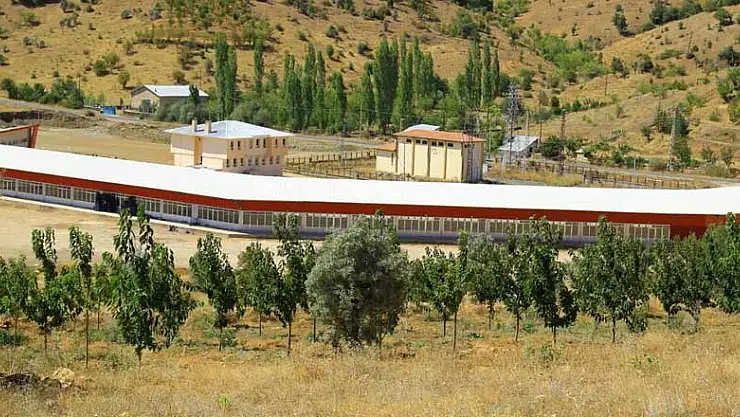 Konya Hadim'de kiraz alım merkezindeki dükkanların ihalesi yapıldı