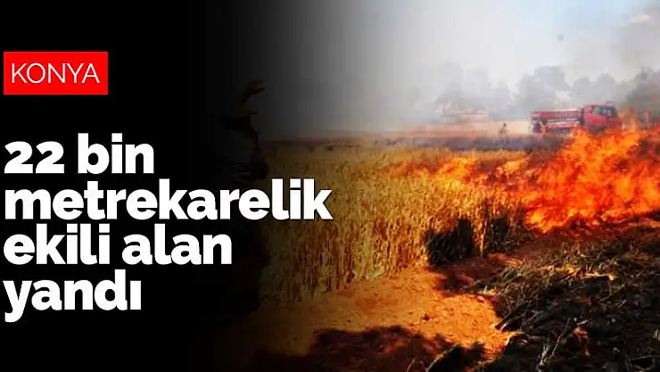 Konya Beyşehir'de 22 bin metrekarelik ekili alan yandı