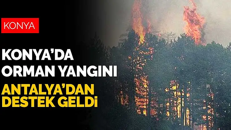 Konya'da sabah saatlerinde çıkan orman yangınını söndürmek için Antalya'dan destek geldi