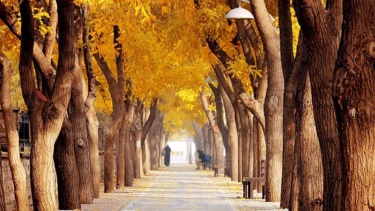 Konya'da sıcaklık düşüyor