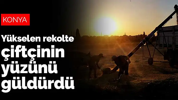 Konya Ovası'nda yükselen rekolte çiftçinin yüzünü güldürdü
