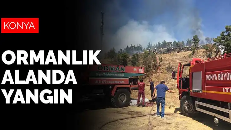 Konya'da ormanlık alanda yangın