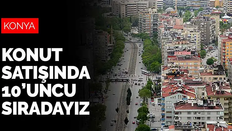 Konya konut satışında 10'uncu sırada
