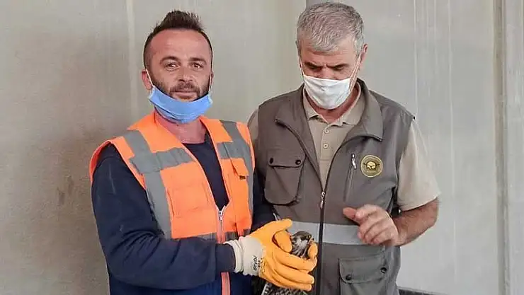 Konya Beyşehir'de yaralı kuş tedavi edilecek