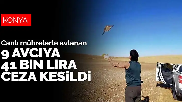 Konya'da canlı mührelerle avlanan 9 kişiye 41 bin lira ceza