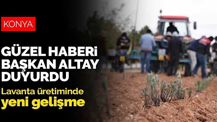 Konya'da lavanta üretiminde yeni gelişmeler yaşanıyor! Başkan Altay güzel haberi duyurdu
