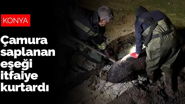 Konya'da kanala düşerek çamura saplanan eşeği itfaiye kurtardı