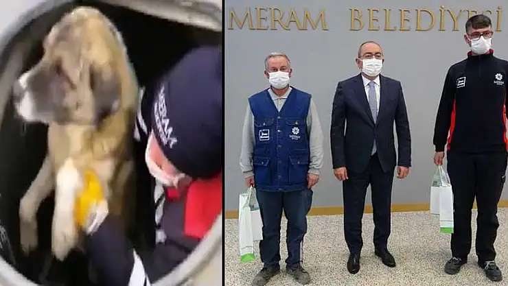 Konya'da çöp konteynerine düşen köpeği kurtaran temizlik görevlisi o anları anlattı