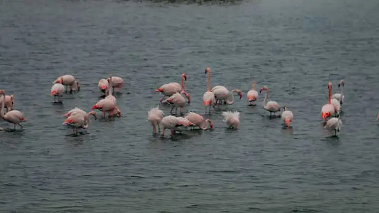 Konya'nın çocuklarının yeni adresi Büyükçekmece