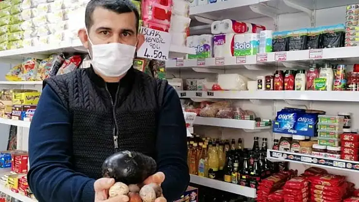 Alanya'da eşi görülmemiş kampanya! Avokado çekirdeği getirene ücretsiz ekmek