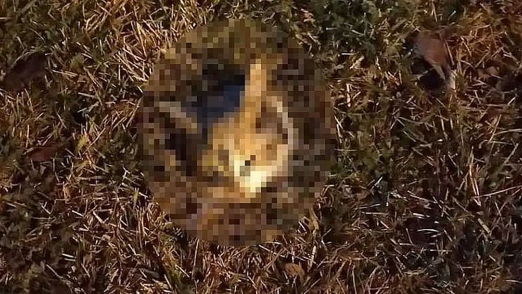 Konya'da vahşet! Kafalarını kesip sokağa attılar