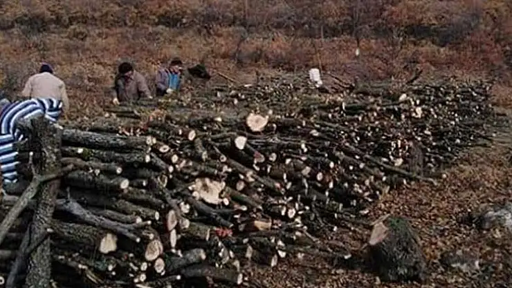 Konya'da havalar soğuyunca kışlık yakacak kesimi başladı