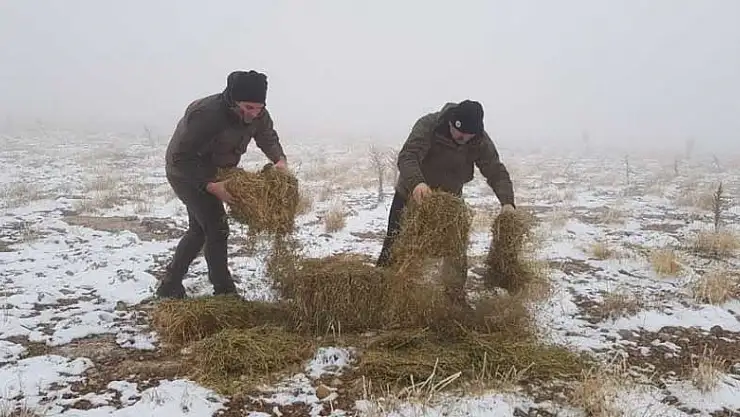 Konya'daki zorlu kış şartları nedeniyle yaban hayatına yiyecek takviyesi