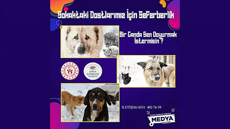 Konya'da Medya Kulübü Gönüllülerinden sokak hayvanları için seferberlik