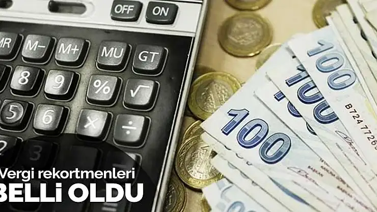 Türkiye'nin 2019 yılı vergi rekortmenleri belli oldu