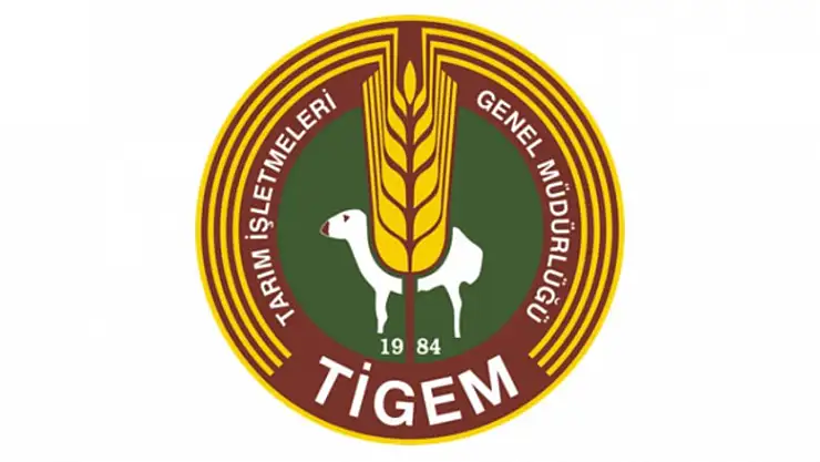 9 bin 750 baş reforme erkek kuzu satılacak