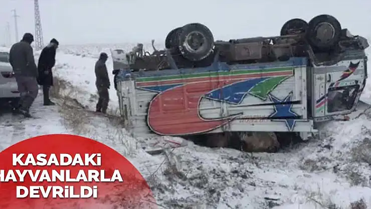 Ereğli-Emirgazi yolunda büyükbaş hayvanları taşıyan kamyon devrildi