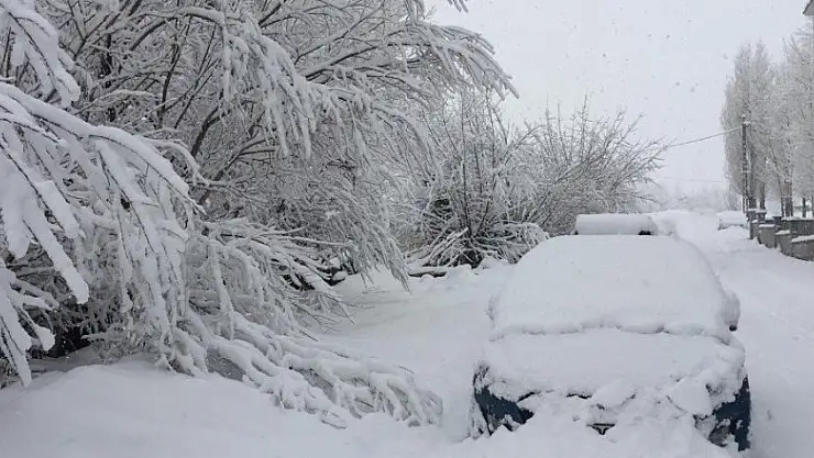 Bir gecede 30 santim kar yağdı