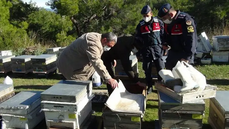 Çalınan kovanlarının peşinden Konya'dan Manavgat'a kadar iz sürdü