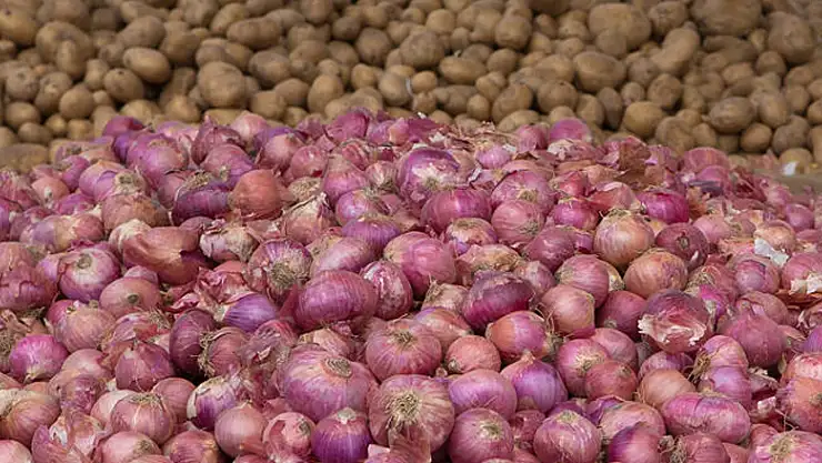 Salgın döneminde patates ve kuru soğanın üretimi arttı