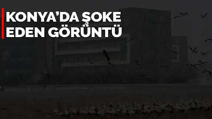 Konya'da şoke eden görüntü! Kar yağınca inmek zorunda kaldılar