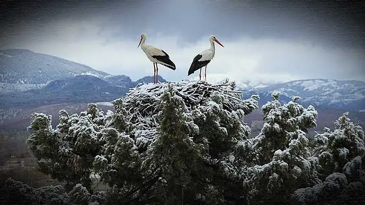 Beyşehir Leylekler Vadisi kar örtüsü altında kaldı
