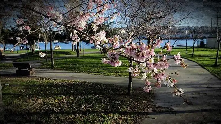 Ramazanla beraber bahar da geliyor!