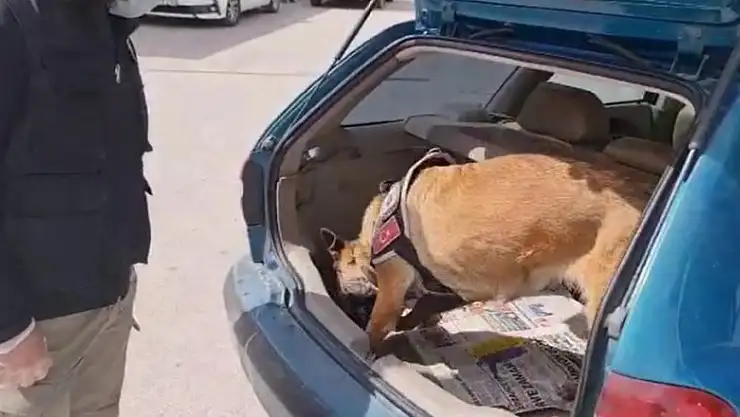 Konya'da durdurulan otomobilin bagajından 5 bin 150 adet ecstasy çıktı