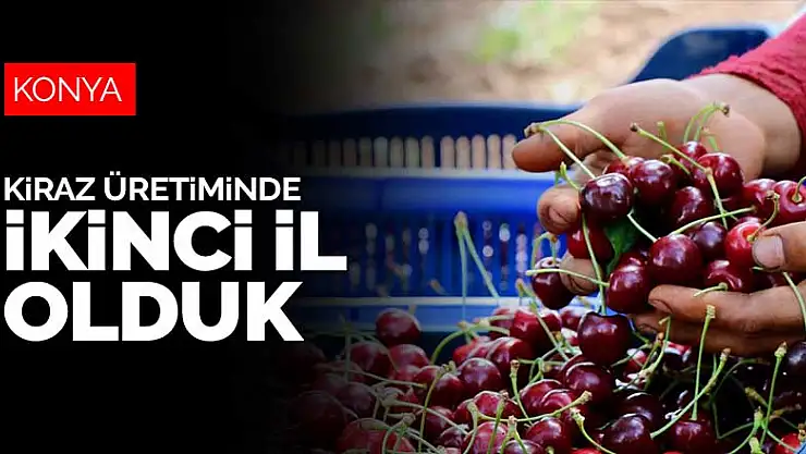 Konya geçen yıl en çok kiraz üretilen ikinci il oldu