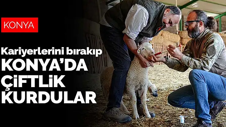 Bankacılık ve TSK'daki kariyerlerini bırakıp Konya'da çiftlik kurdular