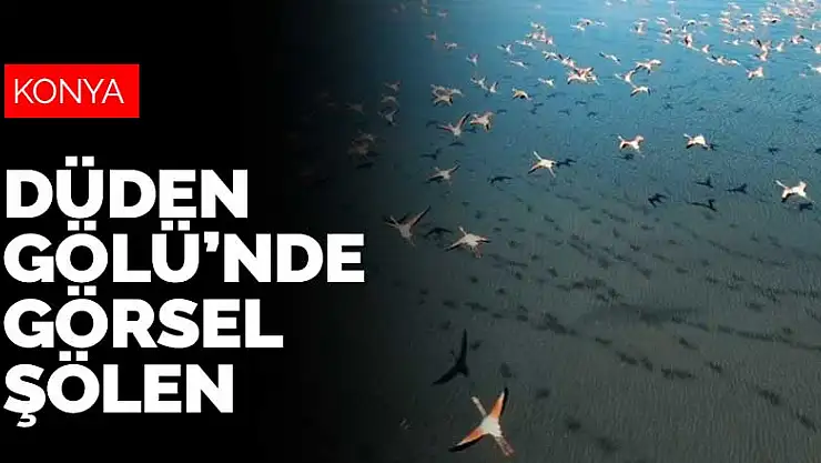 Konya'da bulunan Düden Gölü'nde flamingolardan görsel şölen