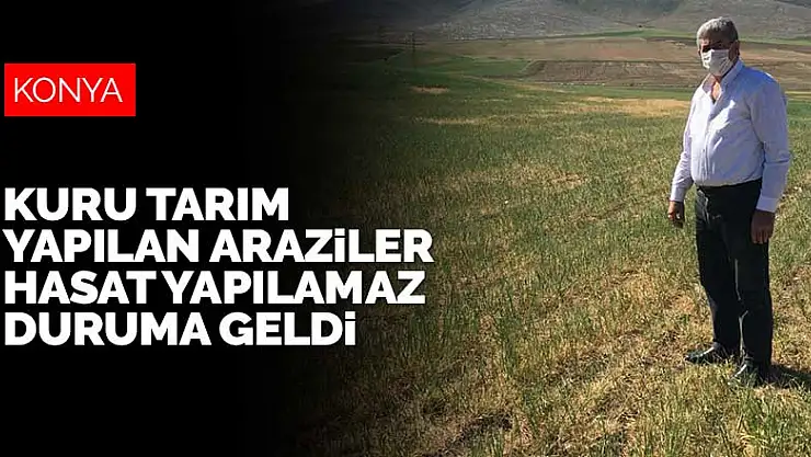 Konya'da kuru tarım yapılan araziler hasat yapılamaz duruma geldi