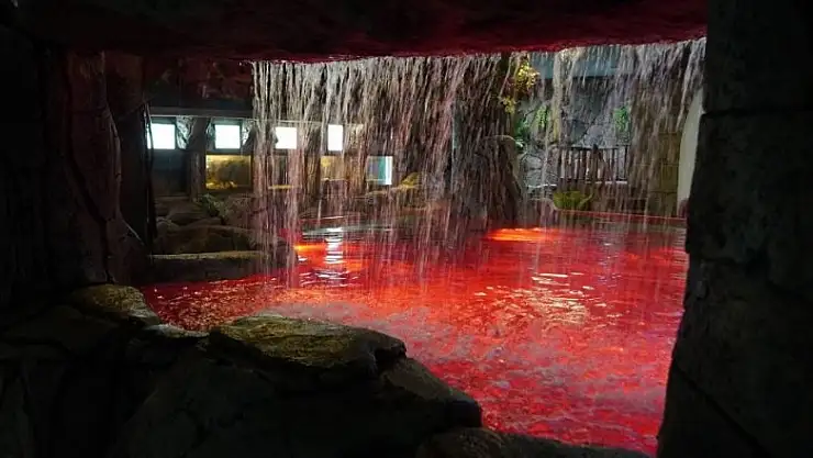 Keçiören Deniz Dünyası'ndaki yenileme çalışmaları tamamlandı! Artık dokunma havuzu da var