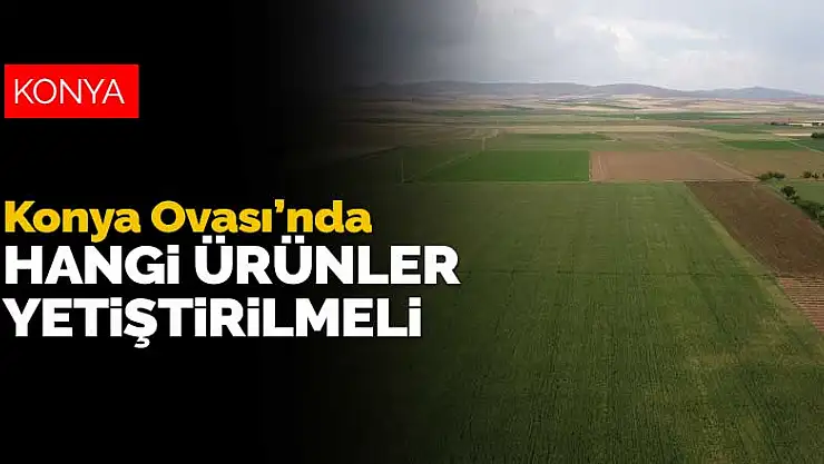 Obruk sayısı 1080'e ulaştı! Konya Ovası'nda hangi ürün yetiştirilmeli?