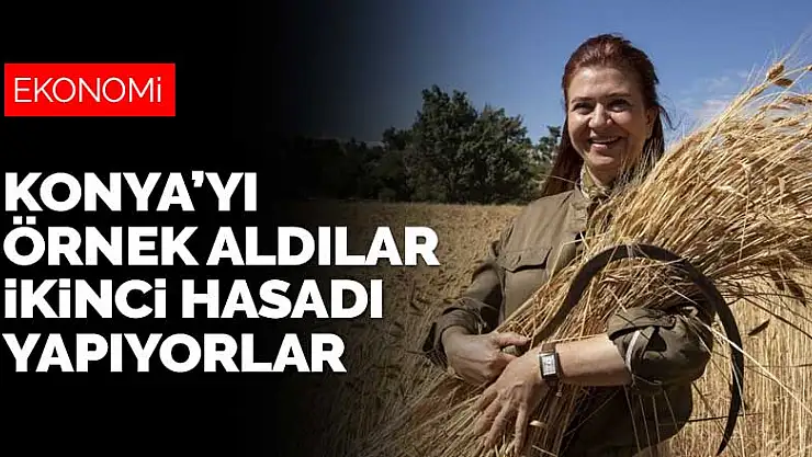 Konya'nın çalışmalarını örnek aldılar, buğdayda ikinci hasadı yapıyorlar