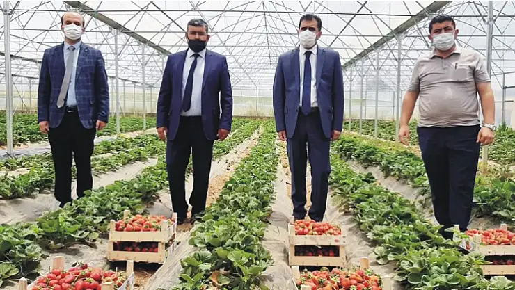 Konya Hüyük'te coğrafi tescilli çileğin tanıtım ve eğitim toplantısı