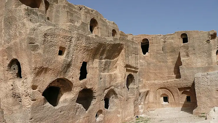 Bu Dara o Dara değil! Dara hakkında bilinmeyenler