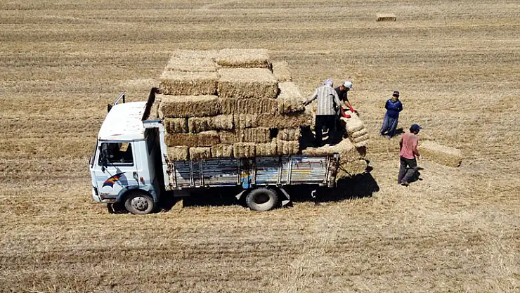 Konyalı besicilerin kış hazırlığı başladı