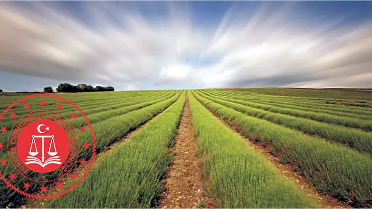 Konya Ereğli'de icradan satılık tarla