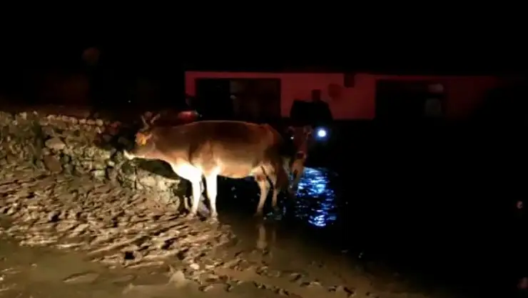 Kars'ta sağanak sele yol açtı: Evleri ve yolları su bastı