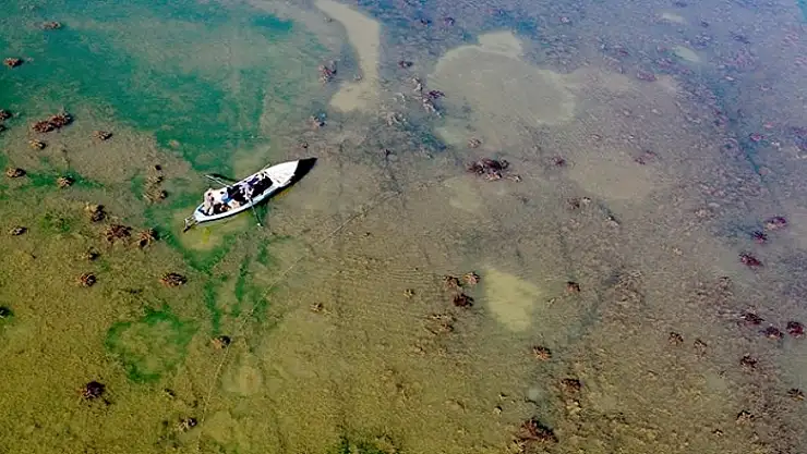 Konya'daki Suğla Gölü'nde tehlike çanları çalıyor