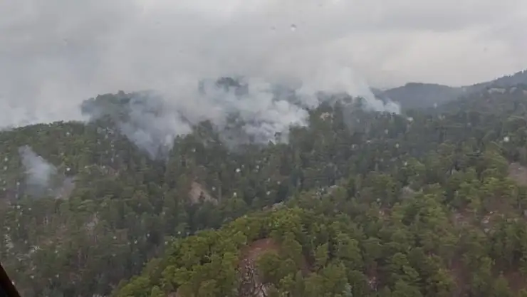 Antalya'da düşen yıldırım, 4 hektarlık ormanı yaktı
