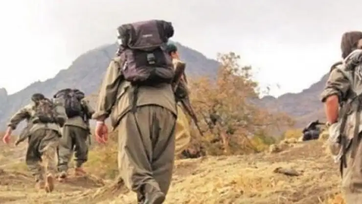 PKK'da çözülme devam ediyor, 1 örgüt mensubu daha ikna yoluyla teslim oldu