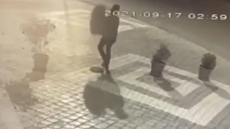 Hırsız çiçekleri saksıları ile birlikte çaldı